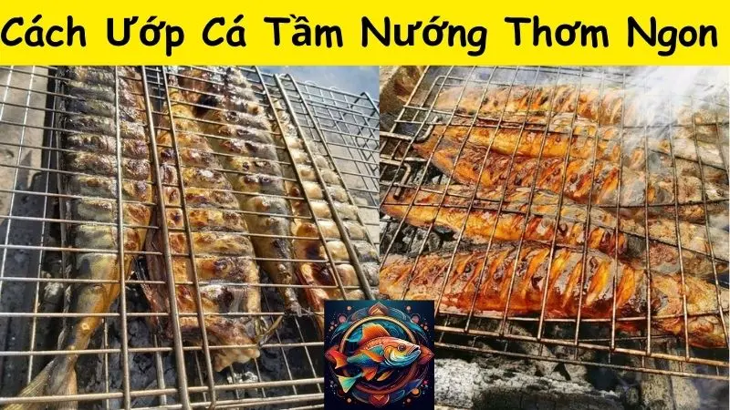 Cách Ướp Cá Tầm Nướng Thơm Ngon