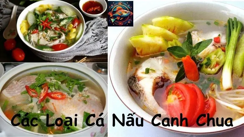 Các Loại Cá Nấu Canh Chua