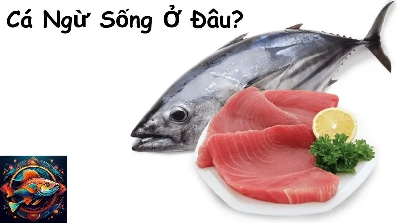 Cá Ngừ Sống Ở Đâu?